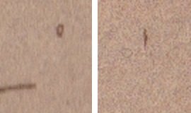 Detail S1V5