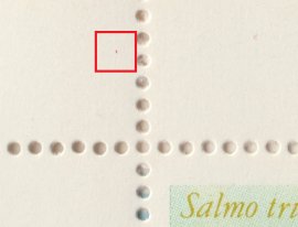 Position vF1ER1a Position vF1ER1a