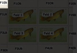 Randabweichungen vF1ER Randabweichungen vF1ER