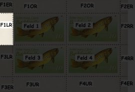 Randabweichungen vF1LR Randabweichungen vF1LR