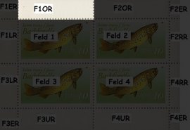 Randabweichungen vF1OR Randabweichungen vF1OR