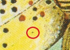 Detail vF1V21 Detail vF1V21