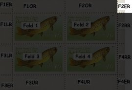 Randabweichungen vF2ER Randabweichungen vF2ER