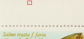 Position vF2OR5 Position vF2OR5