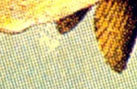 Detail vF3V9 Detail vF3V9