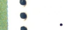 Detail vF4RR1 Detail vF4RR1