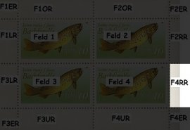 Randabweichungen vF4RR Randabweichungen vF4RR