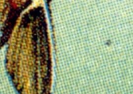 Detail vF4V3 Detail vF4V3