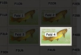 Druckabweichungen Feld vF4 Druckabweichungen Feld vF4