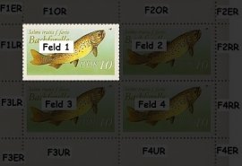 Druckabweichungen Feld wF1 Druckabweichungen Feld wF1