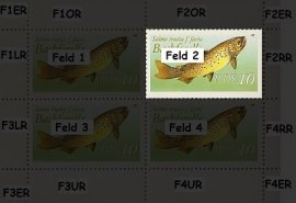Druckabweichungen Feld wF2 Druckabweichungen Feld wF2