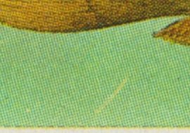 Detail wF3V12 Detail wF3V12