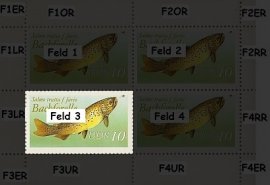 Druckabweichungen Feld wF3 Druckabweichungen Feld wF3