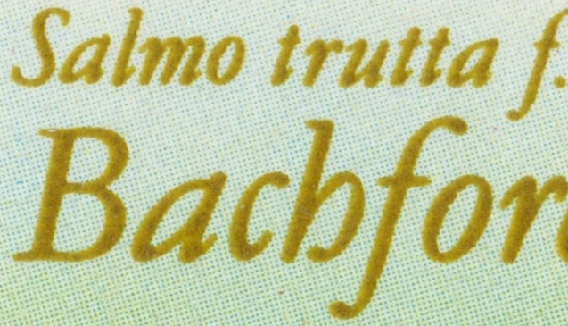 fleckige Schrift