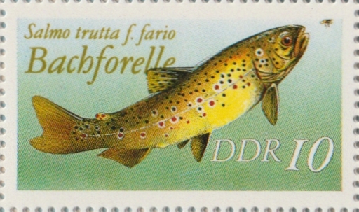3096 Hintergrund grün