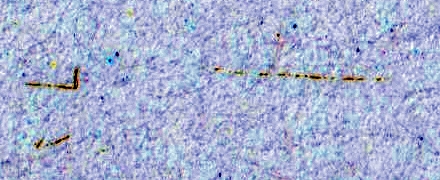 auf gl&auml;nzendem Gummi, kontrastverst&auml;rkt